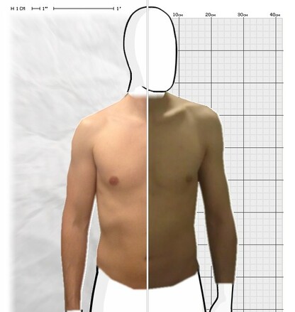 Torso Comparison