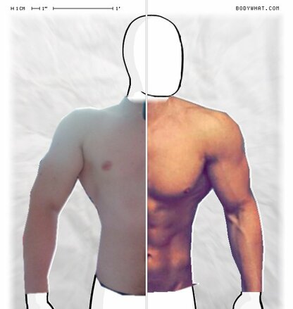 Torso Comparison