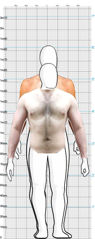 Full Size Comparison