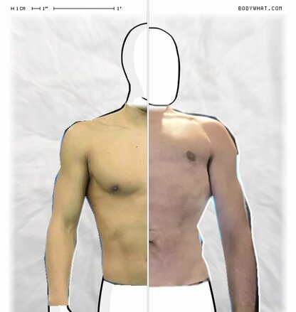 Torso Comparison