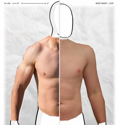 Torso Comparison