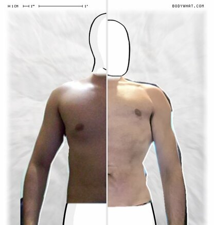 Torso Comparison