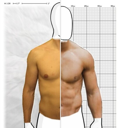 Torso Comparison