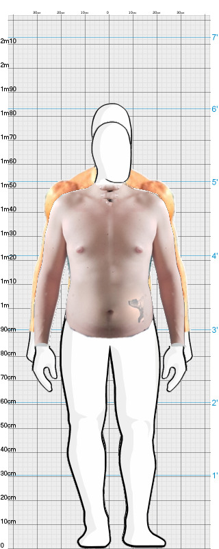 Full Size Comparison