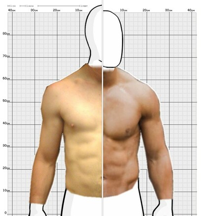 Torso Comparison