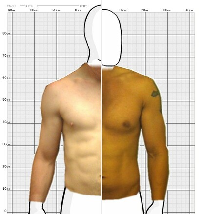 Torso Comparison