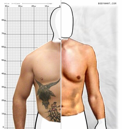 Torso Comparison