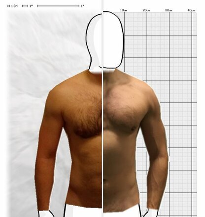 Torso Comparison