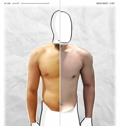 Torso Comparison