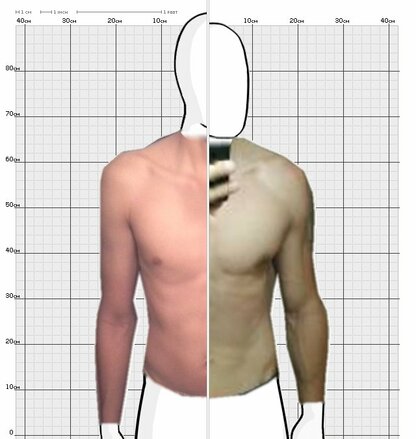 Torso Comparison