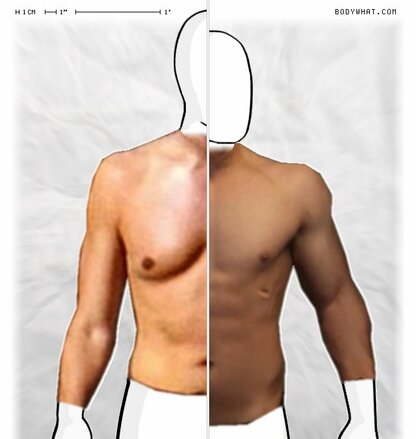 Torso Comparison