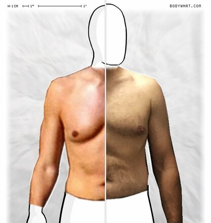 Torso Comparison