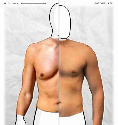 Torso Comparison