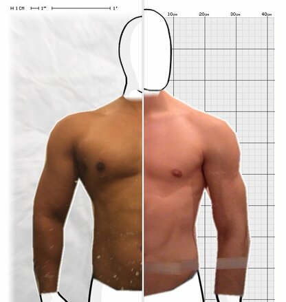 Torso Comparison