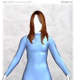 Torso