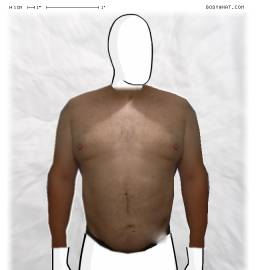 Torso