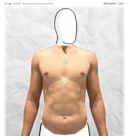 Torso