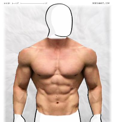 Muscle Morphing