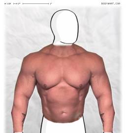 Torso