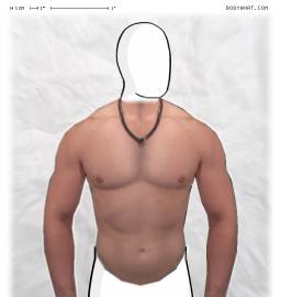 Torso