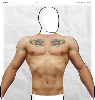 Muscle Morphing
