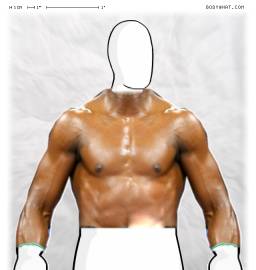 Torso