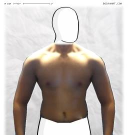 Torso