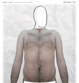 Torso
