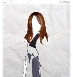 Torso