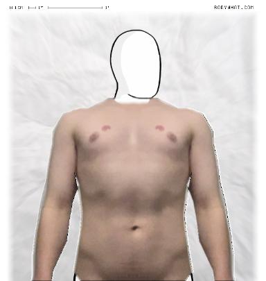 Muscle Morphing