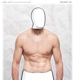 Torso
