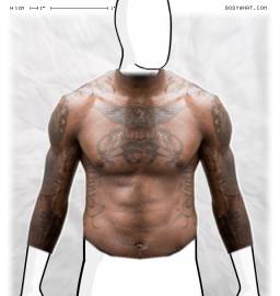 Torso