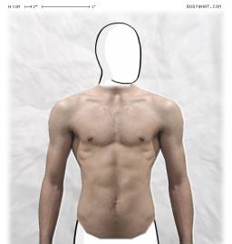 Torso