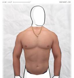 Torso
