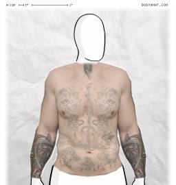 Torso