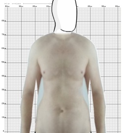 Torso