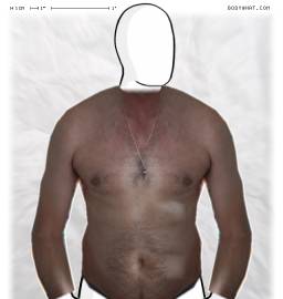 Torso