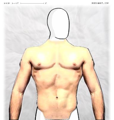 Muscle Morphing