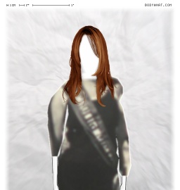 Torso