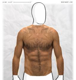 Torso