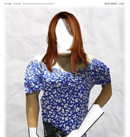 Torso