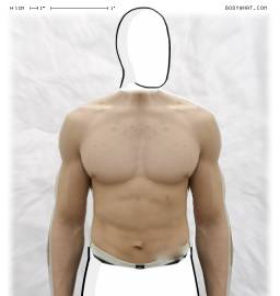 Torso