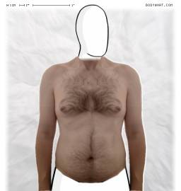 Torso