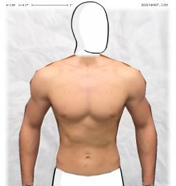 Torso