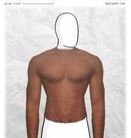 Torso