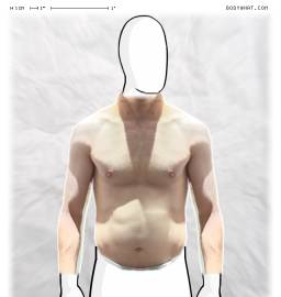 Torso
