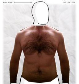 Torso