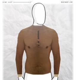 Torso