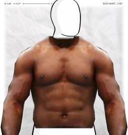 Torso
