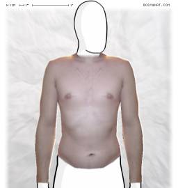 Torso